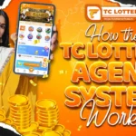 how the tc lottery agent system works